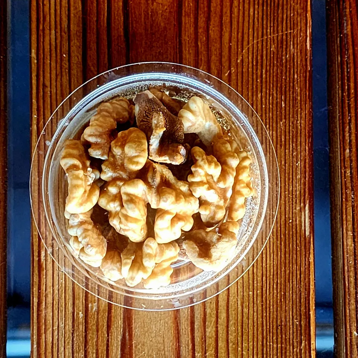 ظرف گردو