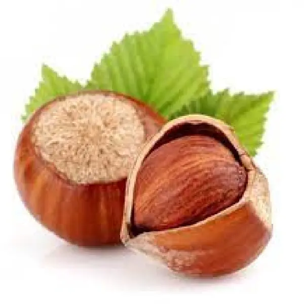 سیروپ فندق